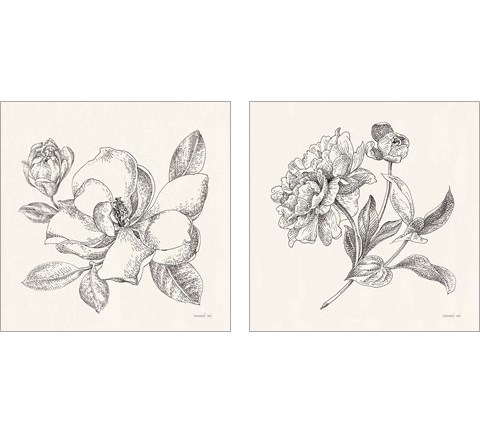 Flower Sketches 2 Piece Art Print Set by Danhui Nai