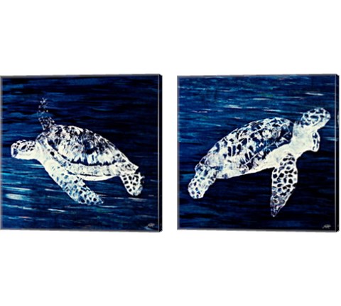 Swim Along 2 Piece Canvas Print Set by Julie DeRice