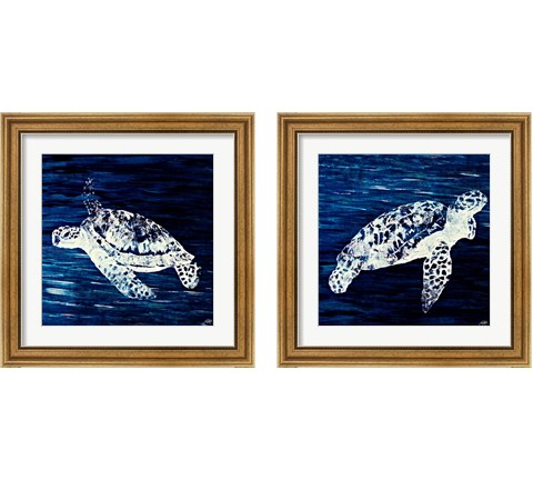 Swim Along 2 Piece Framed Art Print Set by Julie DeRice