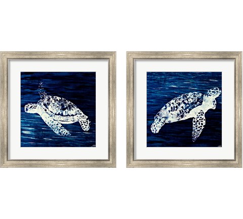 Swim Along 2 Piece Framed Art Print Set by Julie DeRice