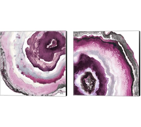 Pink Agate 2 Piece Canvas Print Set by Patricia Pinto