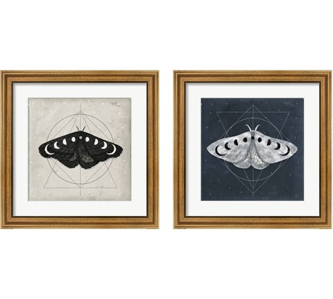 Midnight Moth 2 Piece Framed Art Print Set by Victoria Borges