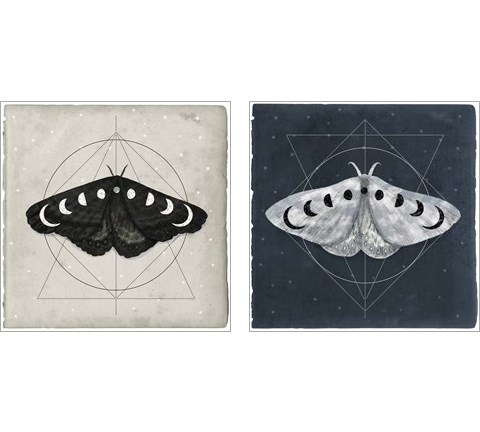 Midnight Moth 2 Piece Art Print Set by Victoria Borges