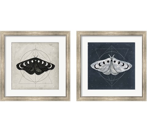 Midnight Moth 2 Piece Framed Art Print Set by Victoria Borges