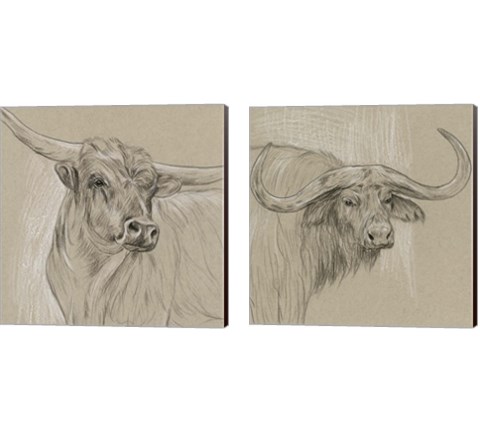 Longhorn Sketch 2 Piece Canvas Print Set by Melissa Wang