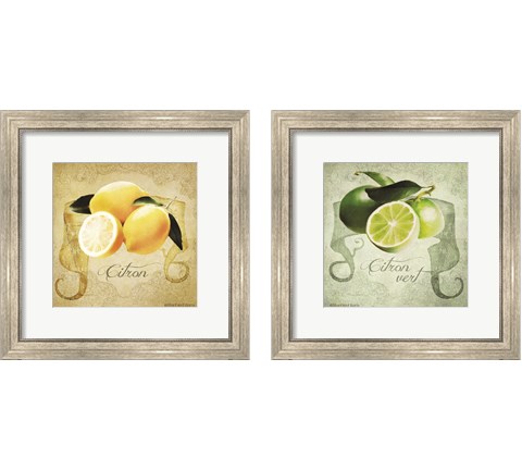 Vintage Lemons & Limes 2 Piece Framed Art Print Set by Bluebird Barn