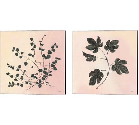 Botanical Study Blush 2 Piece Canvas Print Set by Julia Purinton