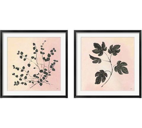 Botanical Study Blush 2 Piece Framed Art Print Set by Julia Purinton