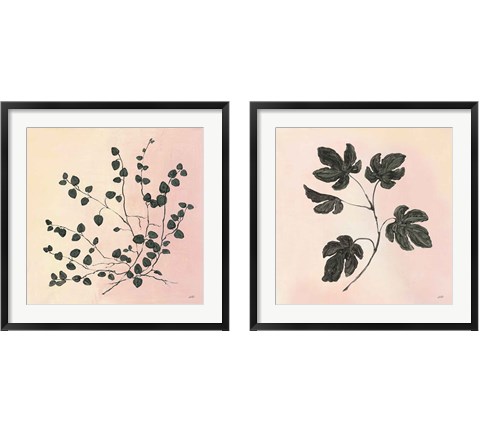 Botanical Study Blush 2 Piece Framed Art Print Set by Julia Purinton