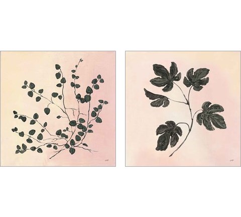 Botanical Study Blush 2 Piece Art Print Set by Julia Purinton