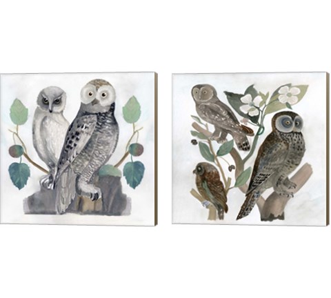 Traditional Owls 2 Piece Canvas Print Set by Stellar Design Studio
