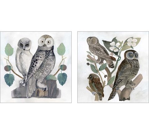 Traditional Owls 2 Piece Art Print Set by Stellar Design Studio