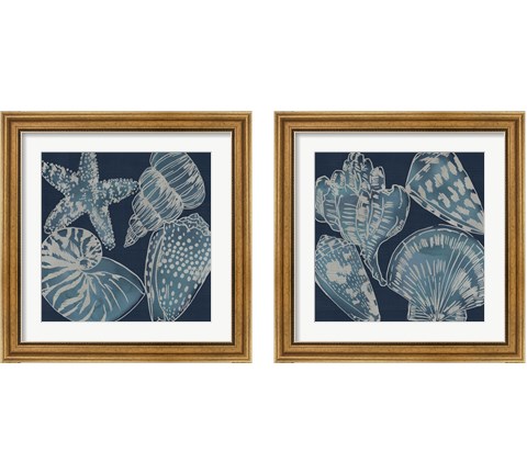 Marine Shells 2 Piece Framed Art Print Set by Chariklia Zarris