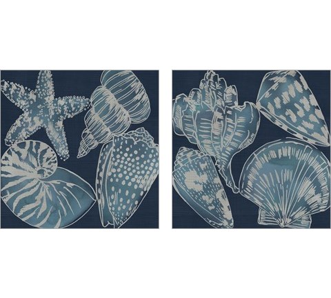 Marine Shells 2 Piece Art Print Set by Chariklia Zarris