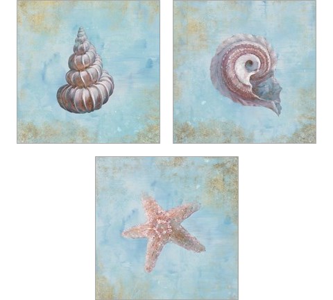 Treasures from the Sea Watercolor 3 Piece Art Print Set by Danhui Nai