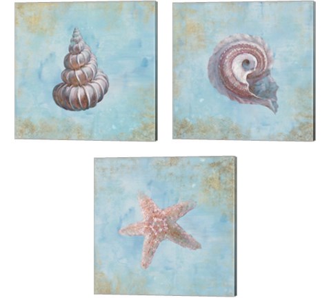 Treasures from the Sea Watercolor 3 Piece Canvas Print Set by Danhui Nai