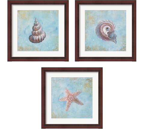 Treasures from the Sea Watercolor 3 Piece Framed Art Print Set by Danhui Nai