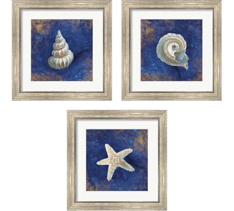 Treasures from the Sea Indigo 3 Piece Framed Art Print Set by Danhui Nai