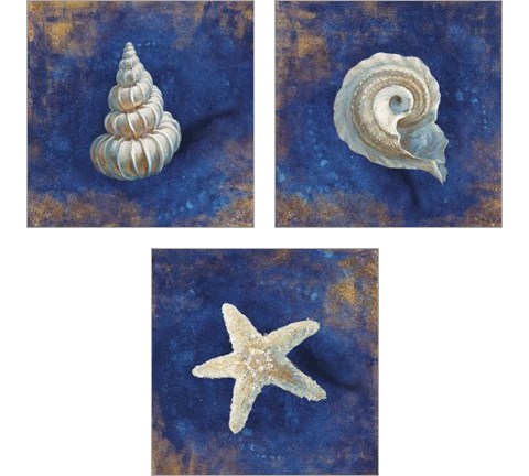 Treasures from the Sea Indigo 3 Piece Art Print Set by Danhui Nai