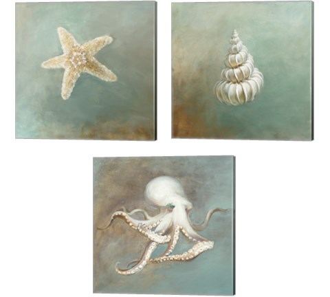 Treasures from the Sea 3 Piece Canvas Print Set by Danhui Nai