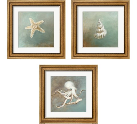 Treasures from the Sea 3 Piece Framed Art Print Set by Danhui Nai
