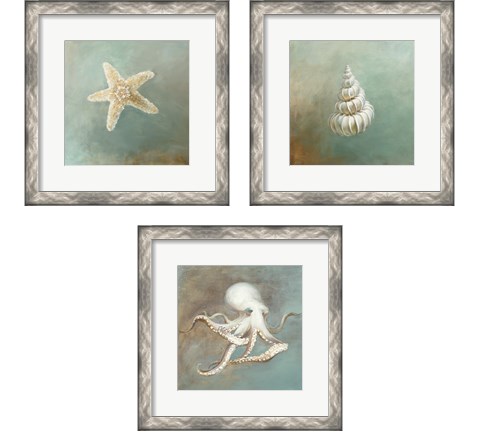 Treasures from the Sea 3 Piece Framed Art Print Set by Danhui Nai