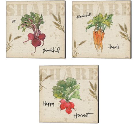 Farmers Feast Harvest 3 Piece Canvas Print Set by Anne Tavoletti