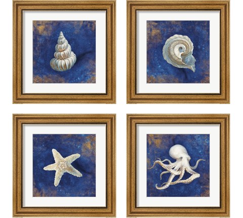 Treasures from the Sea Indigo 4 Piece Framed Art Print Set by Danhui Nai