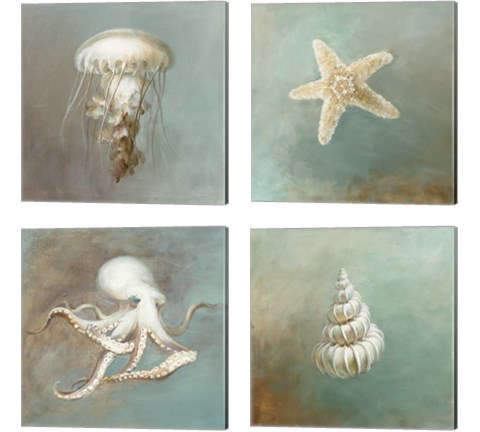 Treasures from the Sea 4 Piece Canvas Print Set by Danhui Nai