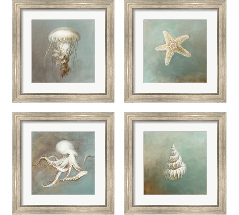 Treasures from the Sea 4 Piece Framed Art Print Set by Danhui Nai