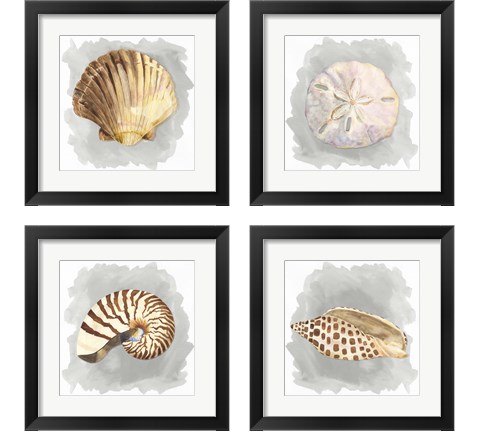 Shells on Grey 4 Piece Framed Art Print Set by Tara Reed