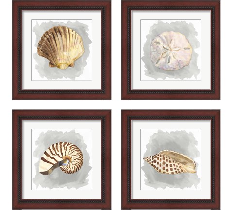 Shells on Grey 4 Piece Framed Art Print Set by Tara Reed