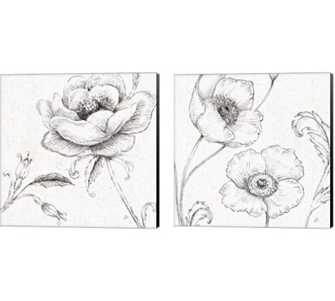 Blossom Sketches 2 Piece Canvas Print Set by Daphne Brissonnet