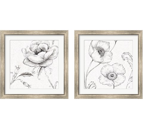 Blossom Sketches 2 Piece Framed Art Print Set by Daphne Brissonnet