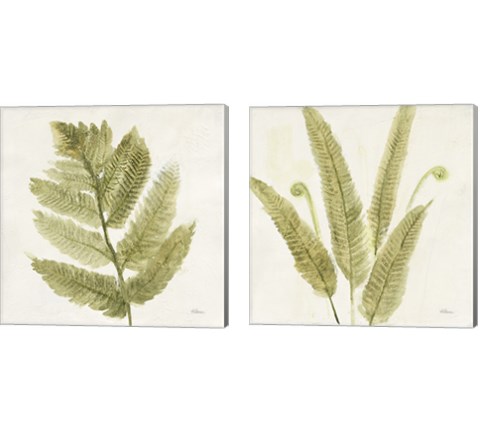 Forest Ferns 2 Piece Canvas Print Set by Albena Hristova