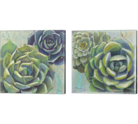 Succulents  2 Piece Canvas Print Set by Wellington Studio