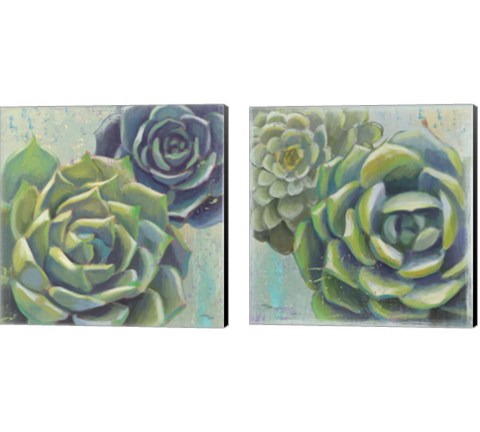 Succulents  2 Piece Canvas Print Set by Wellington Studio