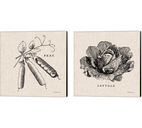 Burlap Vegetable BW Sketch 2 Piece Canvas Print Set by Studio Mousseau