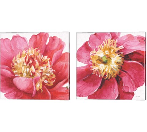 Pink Garden 2 Piece Canvas Print Set by Lisa Audit