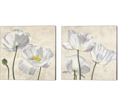 Poppies in White 2 Piece Canvas Print Set by Luca Villa