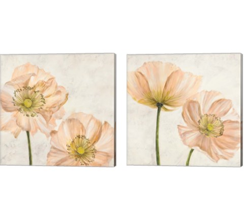 Poppies in Pink 2 Piece Canvas Print Set by Luca Villa