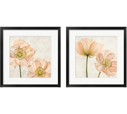 Poppies in Pink 2 Piece Framed Art Print Set by Luca Villa