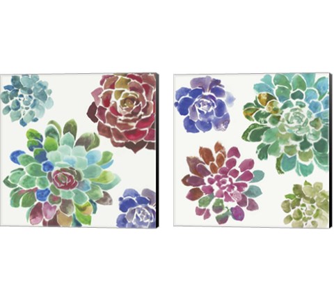 Water Succulents 2 Piece Canvas Print Set by Aimee Wilson
