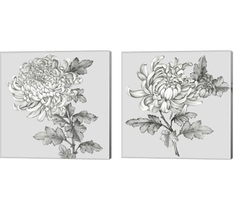 Grey Botanical 2 Piece Canvas Print Set by Eva Watts