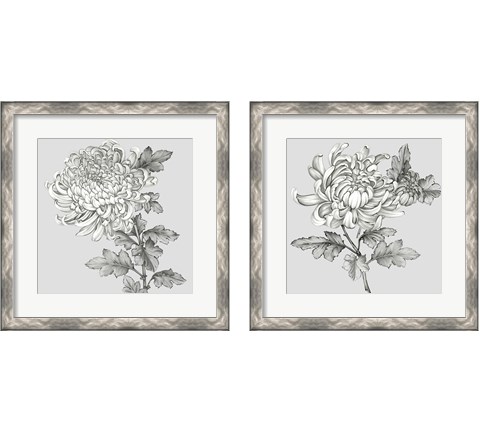 Grey Botanical 2 Piece Framed Art Print Set by Eva Watts