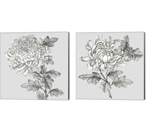 Grey Botanical 2 Piece Canvas Print Set by Eva Watts