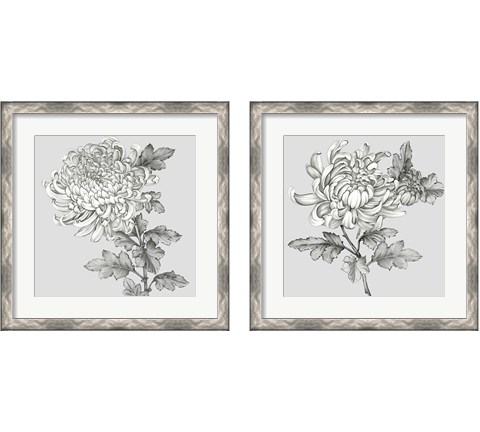 Grey Botanical 2 Piece Framed Art Print Set by Eva Watts