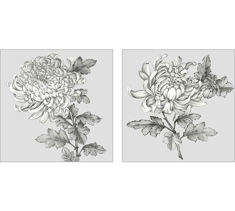Grey Botanical 2 Piece Art Print Set by Eva Watts