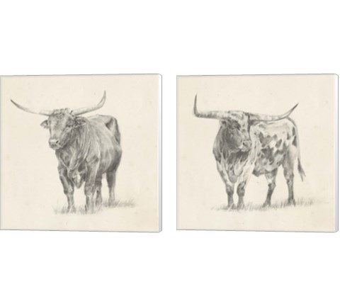 Longhorn Steer Sketch 2 Piece Canvas Print Set by Ethan Harper