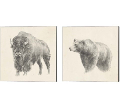 Western Bear Study 2 Piece Canvas Print Set by Ethan Harper